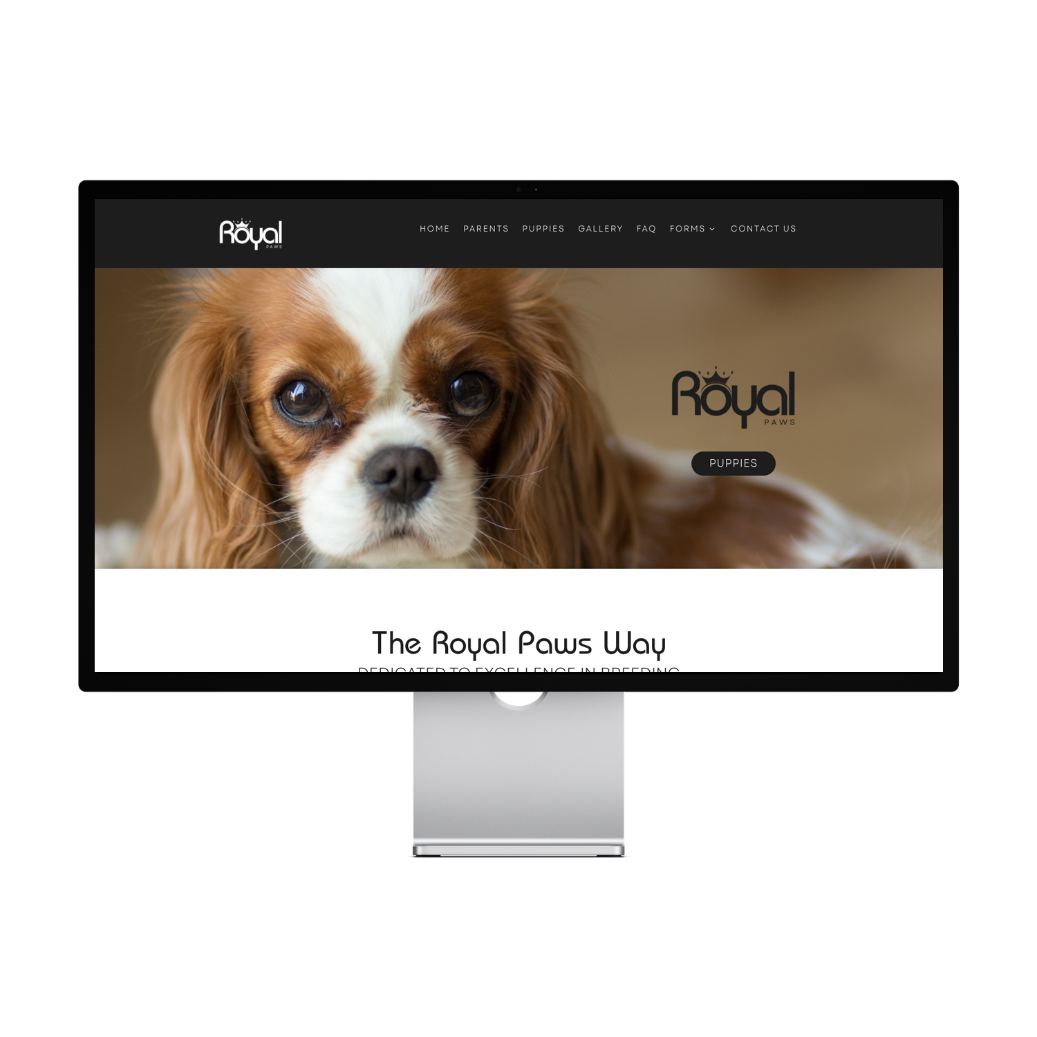 Royal Paws Template — preview 1 of 1